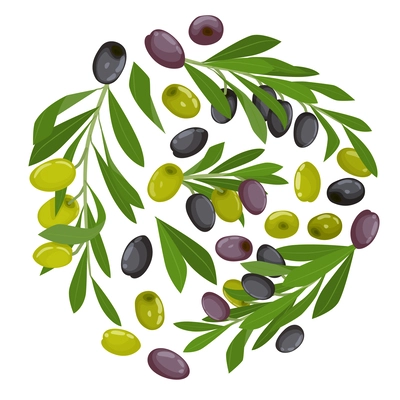 Olives flat round composition with green and black olives on branches and separated vector illustration