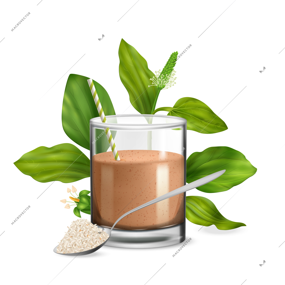 Realistic psyllium concept with protein shake glass and superfood plants on background vector illustration