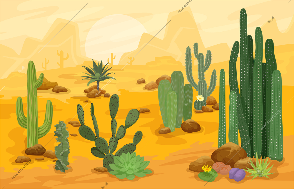 Cactuces cartoon landscape composition different varieties of cacti growing in the desert against a view of mountains and canyon vector illustration