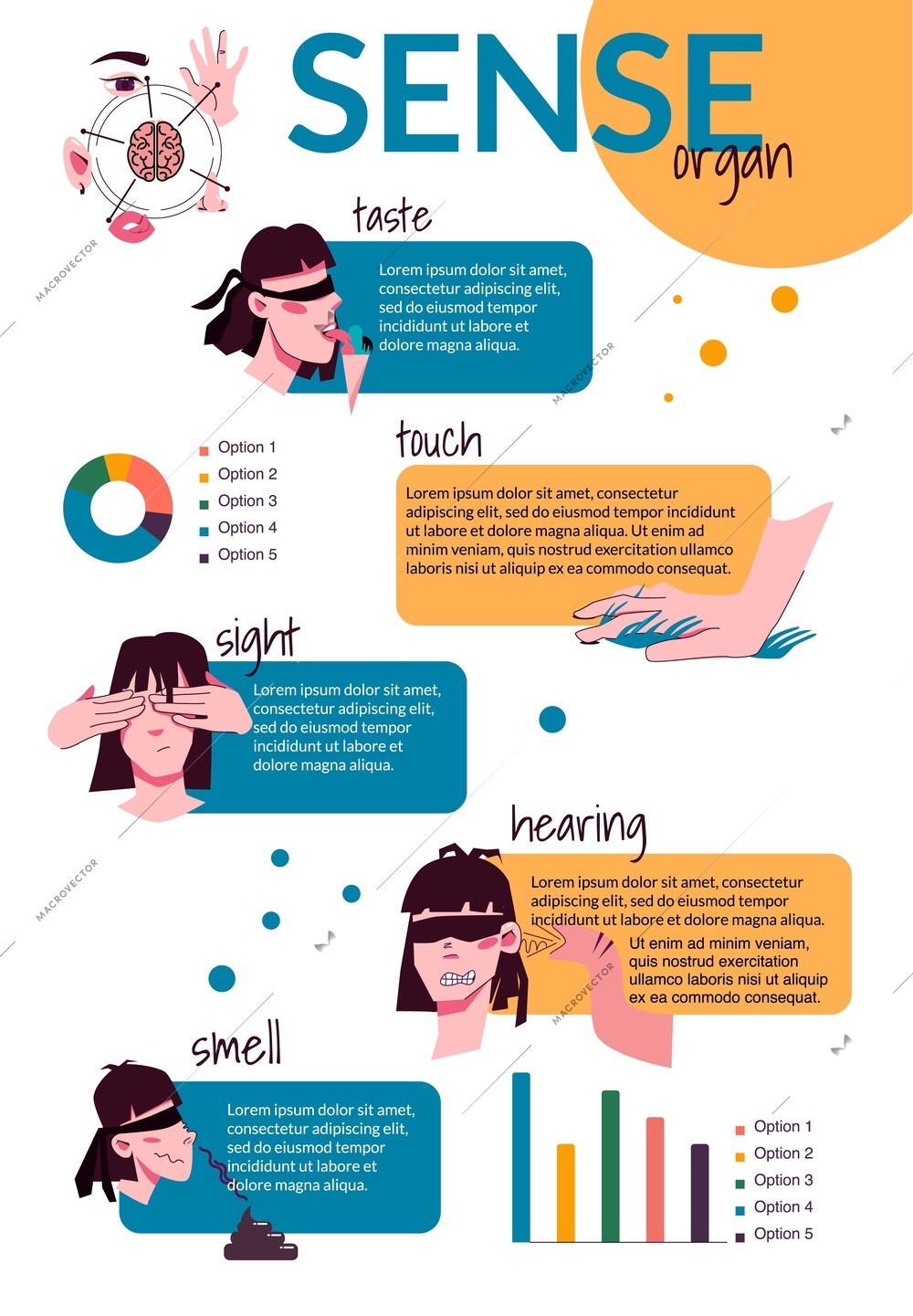 Sense organ people flat infographics with editable text radial and bar charts with doodle human heads vector illustration