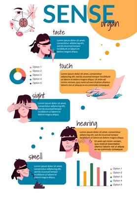 Sense organ people flat infographics with editable text radial and bar charts with doodle human heads vector illustration