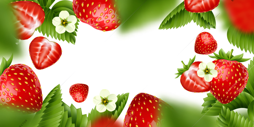 Colored realistic background with frame consisting of hole berries  slices flowers and green leaves of strawberry around white vector illustration