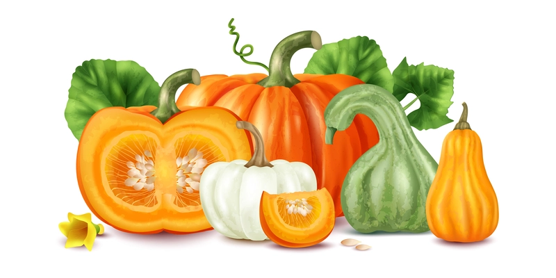 Realistic pumpkin concept with ripe colorful plants vector illustration
