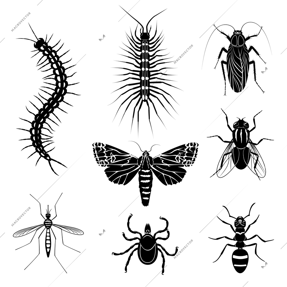 Harmful insects cartoon monochrome icon set different disgusting insects that harm the world vector illustration