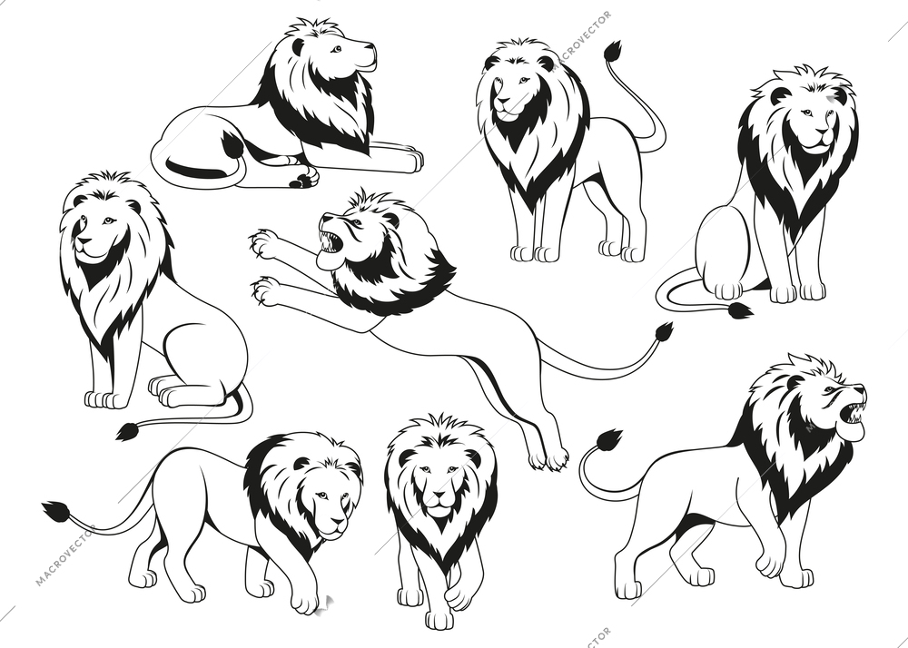 Flat heraldic lion icons set with monochrome predator in different poses isolated vector illustration