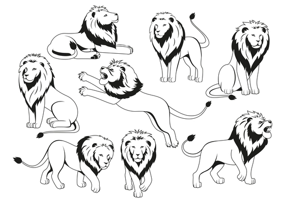 Flat heraldic lion icons set with monochrome predator in different poses isolated vector illustration