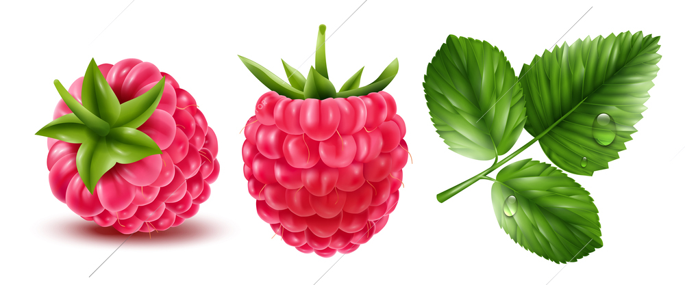 Realistic raspberry icons set with berries and leaves on white background isolated vector illustration