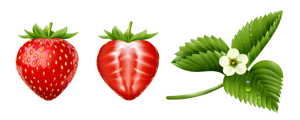 Strawberry realistic set of whole and half berries and branch with three leaves and blossomed flower on white background isolated vector illustration