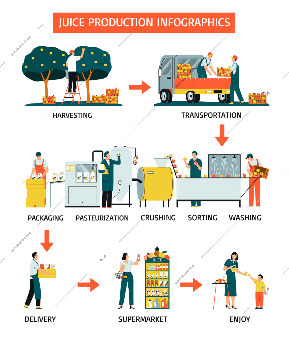 Stages of juice production from harvesting to sale flat infographics vector illustration