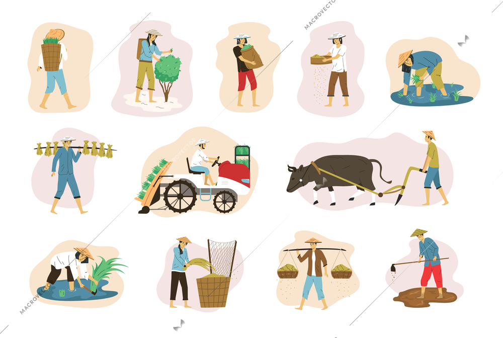 Flat set of asian farmers collecting crops and plowing isolated vector illustration