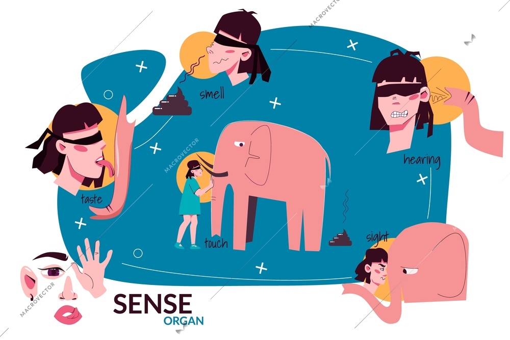 Sense organ people flat colored composition with taste smell hearing touch sight descriptions people with elephant vector illustration