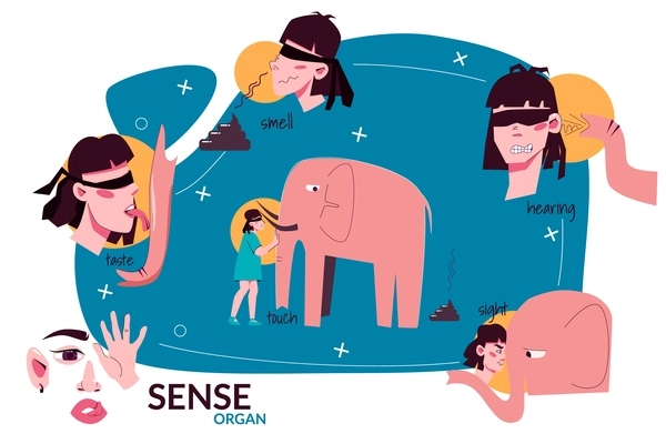 Sense organ people flat colored composition with taste smell hearing touch sight descriptions people with elephant vector illustration