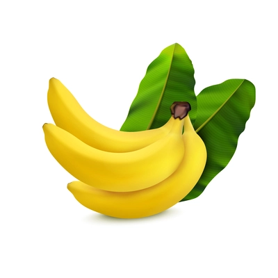 Bunch of ripe yellow bananas with green leaves realistic composition on white background vector illustration