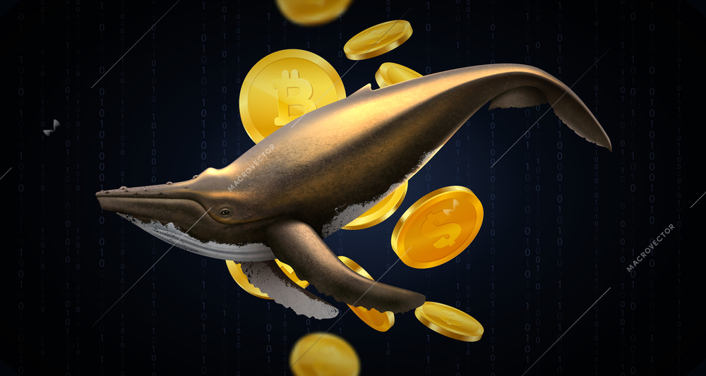 Abstract black background with gold whale and bitcoins as metaphor for big money players realistic vector illustration