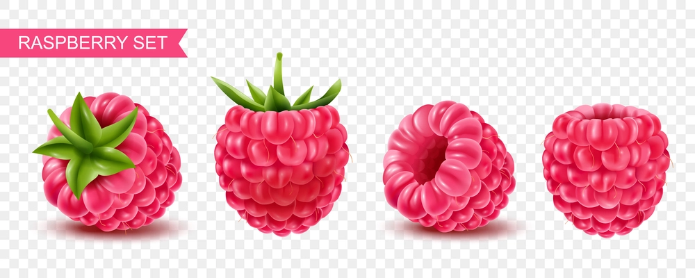 Realistic ripe raspberry berries on transparent background isolated vector illustration