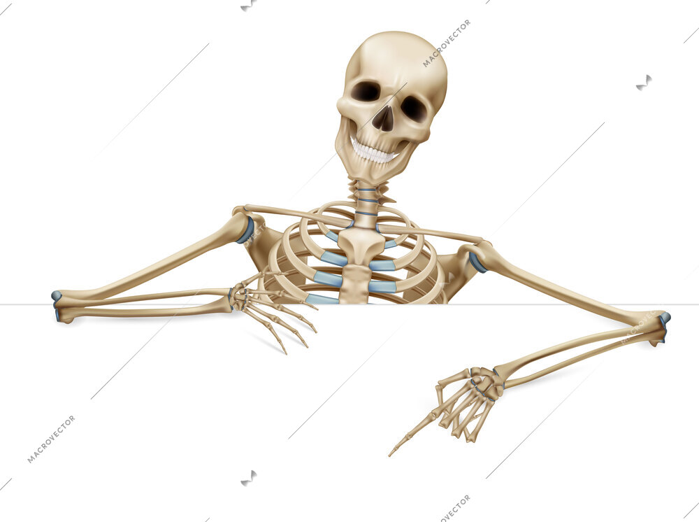 Skeleton gesture realistic composition with half skeletal frame with hands fingers and skull on blank background vector illustration