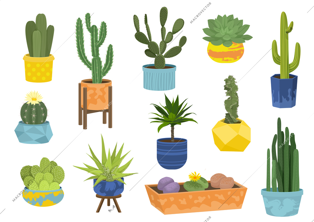 Cactuses in pots flat icon set cactuses in shaped and round large and small colored pots vector illustration