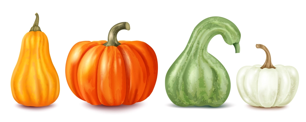 Pumpkin realistic set with seasonal harvest symbols flat isolated vector illustration