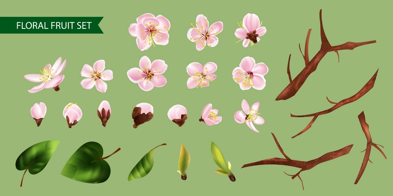 Floral fruit set with branch and white flowers realistic isolated vector illustration