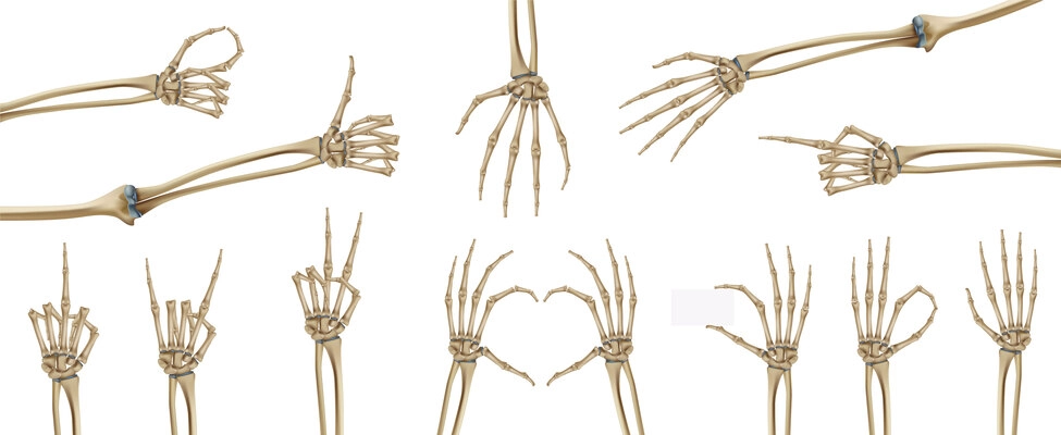 Skeleton hands realistic set with isolated images of skeletal structures of palm hand on blank background vector illustration