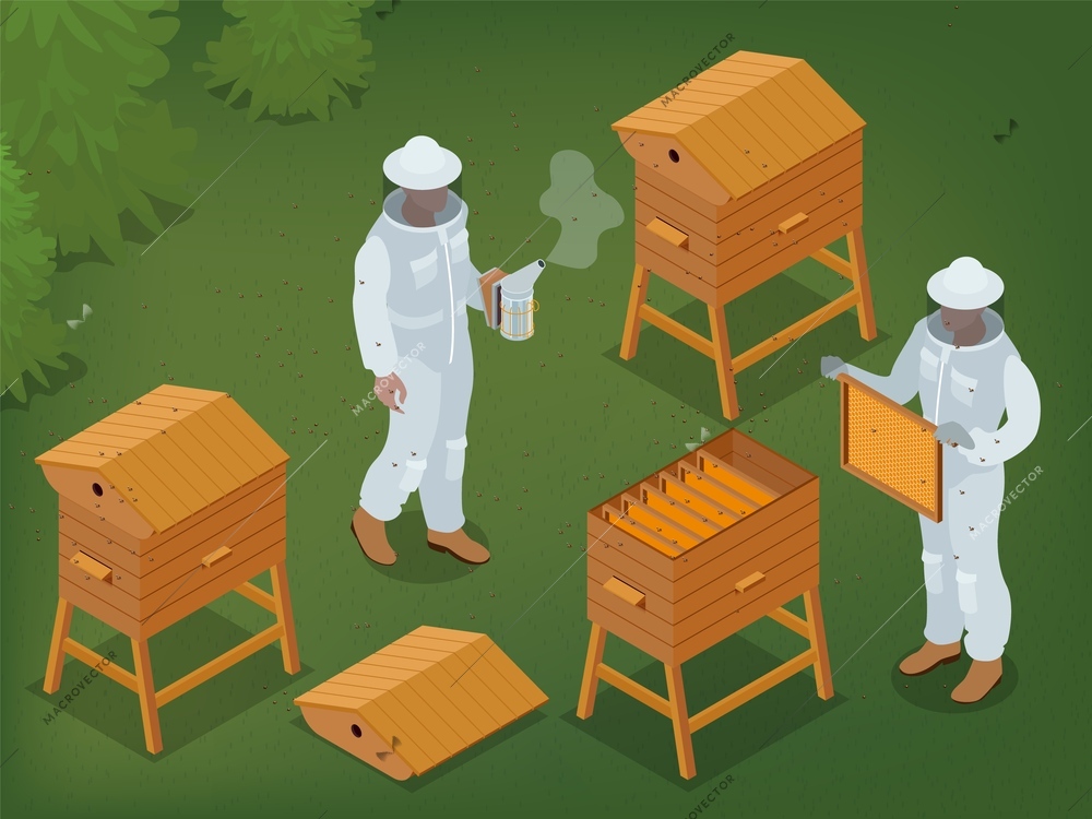 Beekeeping isometric background with two beekeepers in apiary using smoker and holding honey frame 3d vector illustration