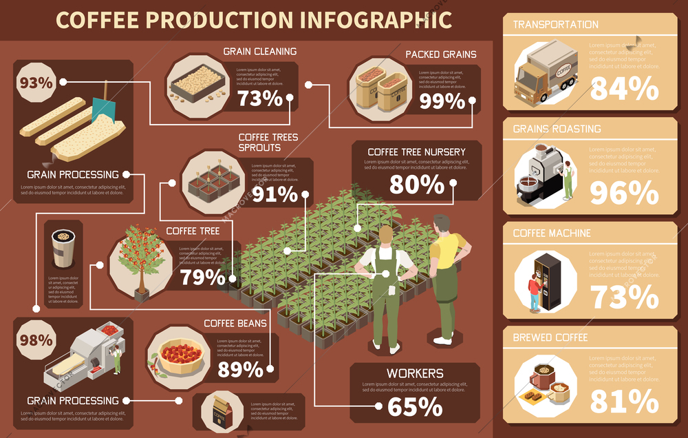 Coffee production industry isometric  infographics depicting coffee tree nursery grain processing cleaning roasting package vector illustration