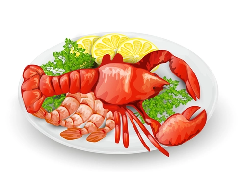 Lobster on plate with lemon shrimps and parsley seafood restaurant menu concept vector illustration