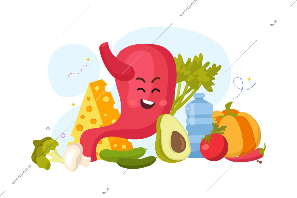 Funny cartoon human organ flat composition with cute stomach character and healthy products vector illustration
