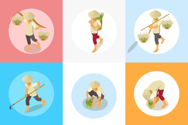 Rice production isometric set of circle compositions with characters of workers with tools gathering plant seeds vector illustration