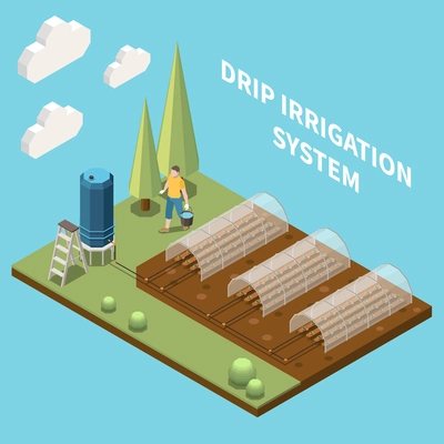 Fragment of kitchen garden with beds equipped with plastic protection and drip irrigation system isometric vector illustration