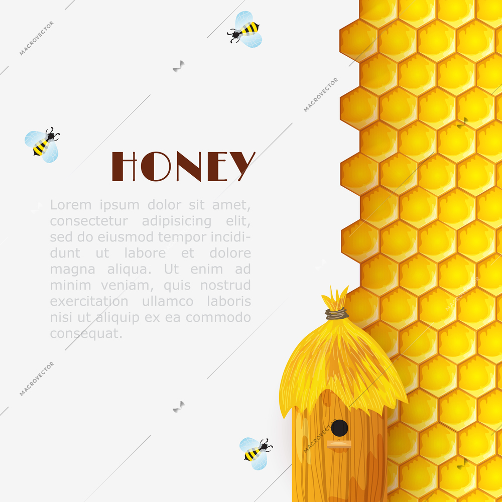 Honey background with hexagon honeycomb beehive and bumblebees insects vector illustration