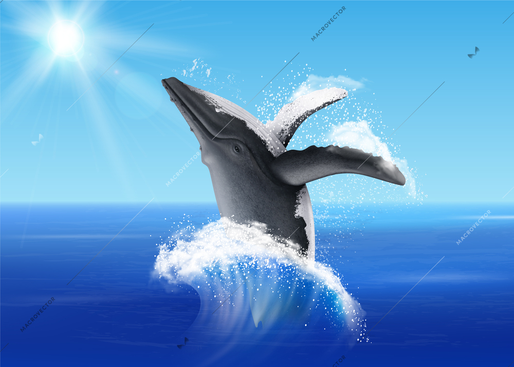 Nautical realistic blue background with jumping whale in sea water illuminated by sunlight vector illustration