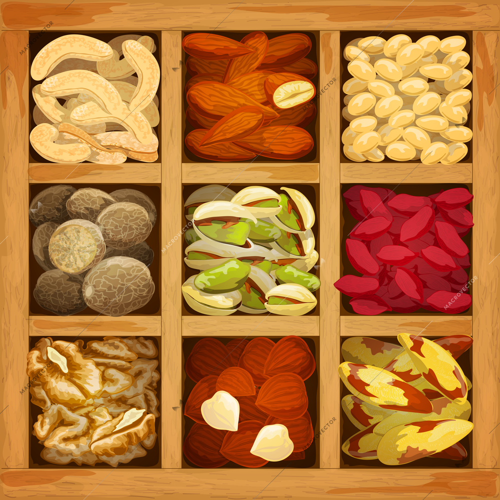 Nuts assorted collection of nutmeg walnut brazil almond in wood box vector illustration