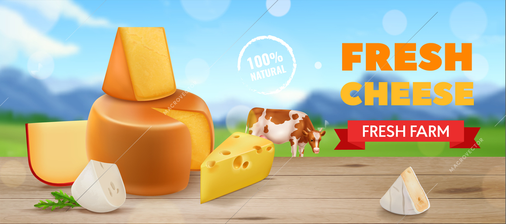 Realistic cheese ads horizontal poster fresh cheese fresh farm headline and village landscape vector illustration