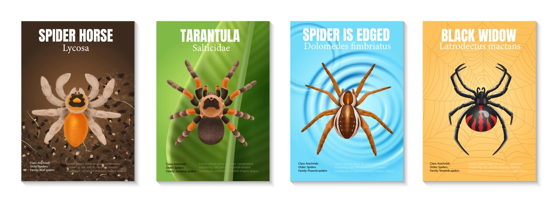 Four vertical realistic spiders poster set with spider horse tarantula black widow vector illustration