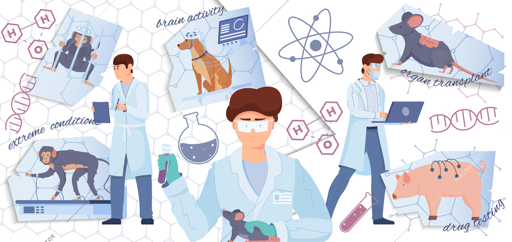 Laboratory experiments on animal flat collage with extreme conditions brain activity organ transplant drug testing cut paper elements vector illustration