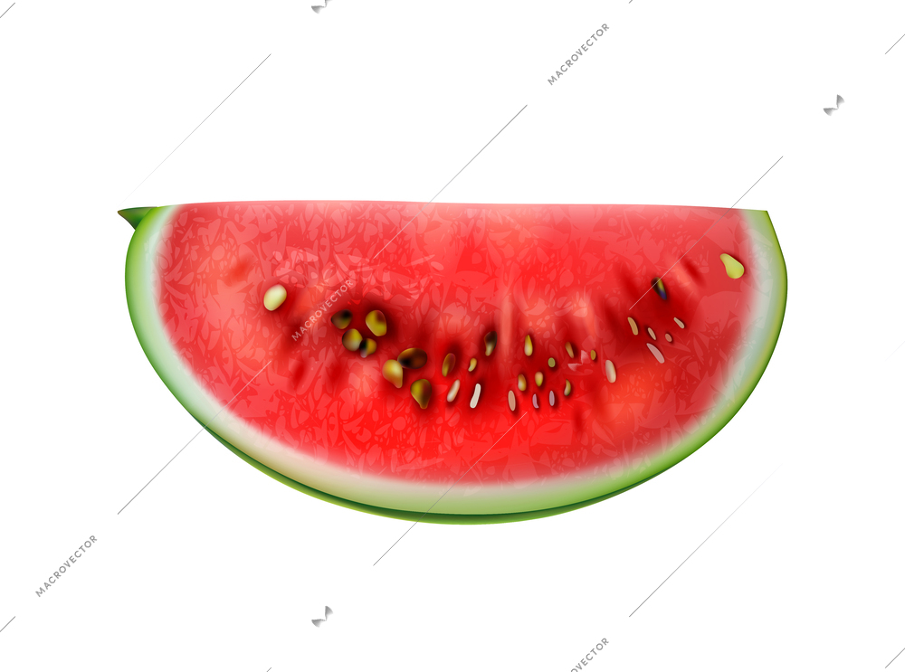 Realistic watermelon composition with isolated fruit berry image on blank background vector illustration