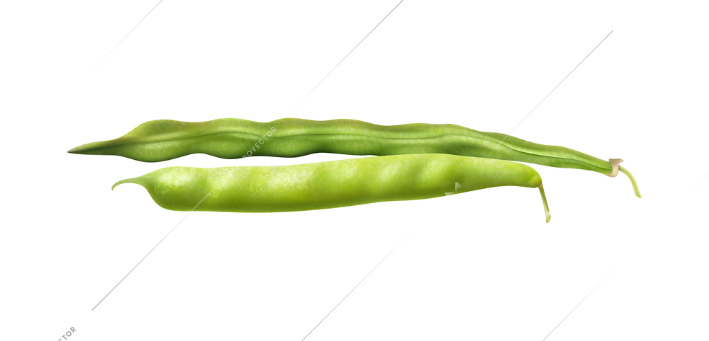 Fresh farmer market green beans realistic composition with pea pods ready to cook vector illustration