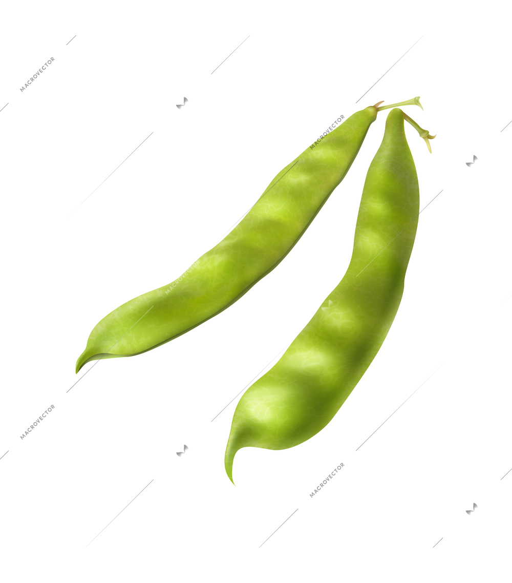 Fresh farmer market green beans realistic composition with pea pods ready to cook vector illustration