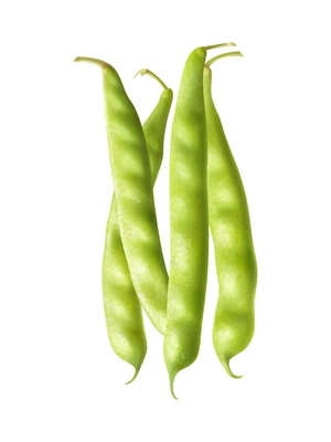 Fresh farmer market green beans realistic composition with pea pods ready to cook vector illustration