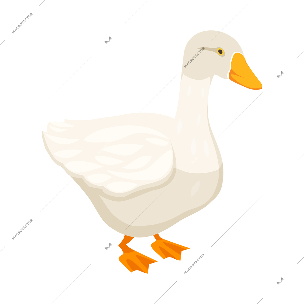 Chicken farm poultry production isometric composition with isolated image of farm animal vector illustration