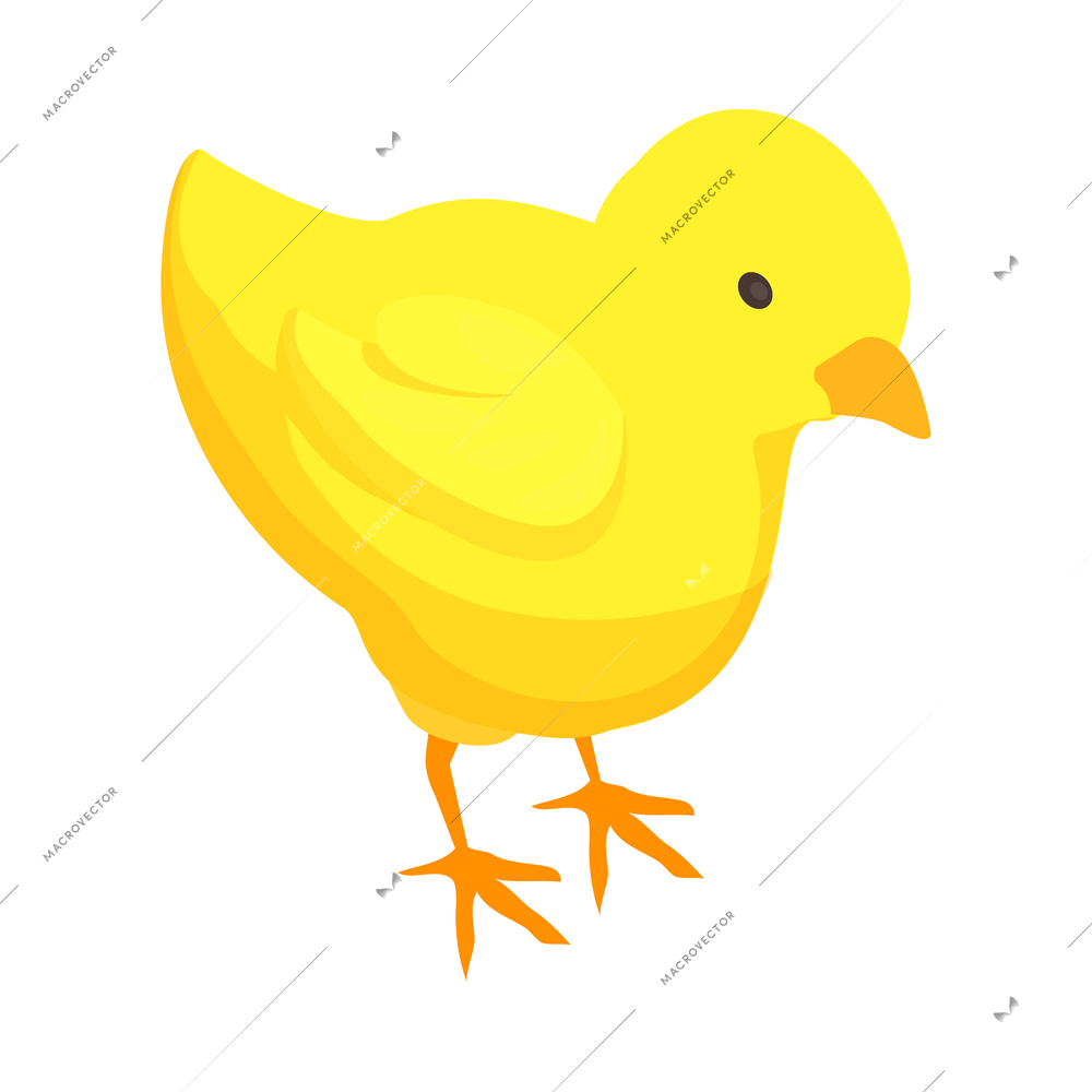 Chicken farm poultry production isometric composition with isolated image of farm animal vector illustration