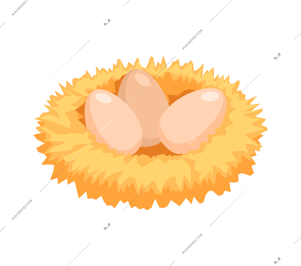 Chicken farm poultry production isometric composition with isolated image of farm animal vector illustration