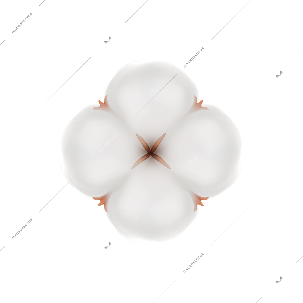 Cotton realistic composition with isolated view of flower bud on blank background vector illustration