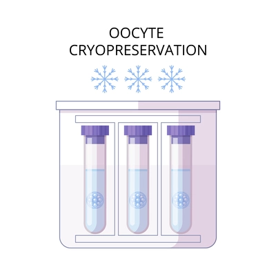 In vitro fertilization ivf flat composition with text captions and artificial insemination icons vector illustration