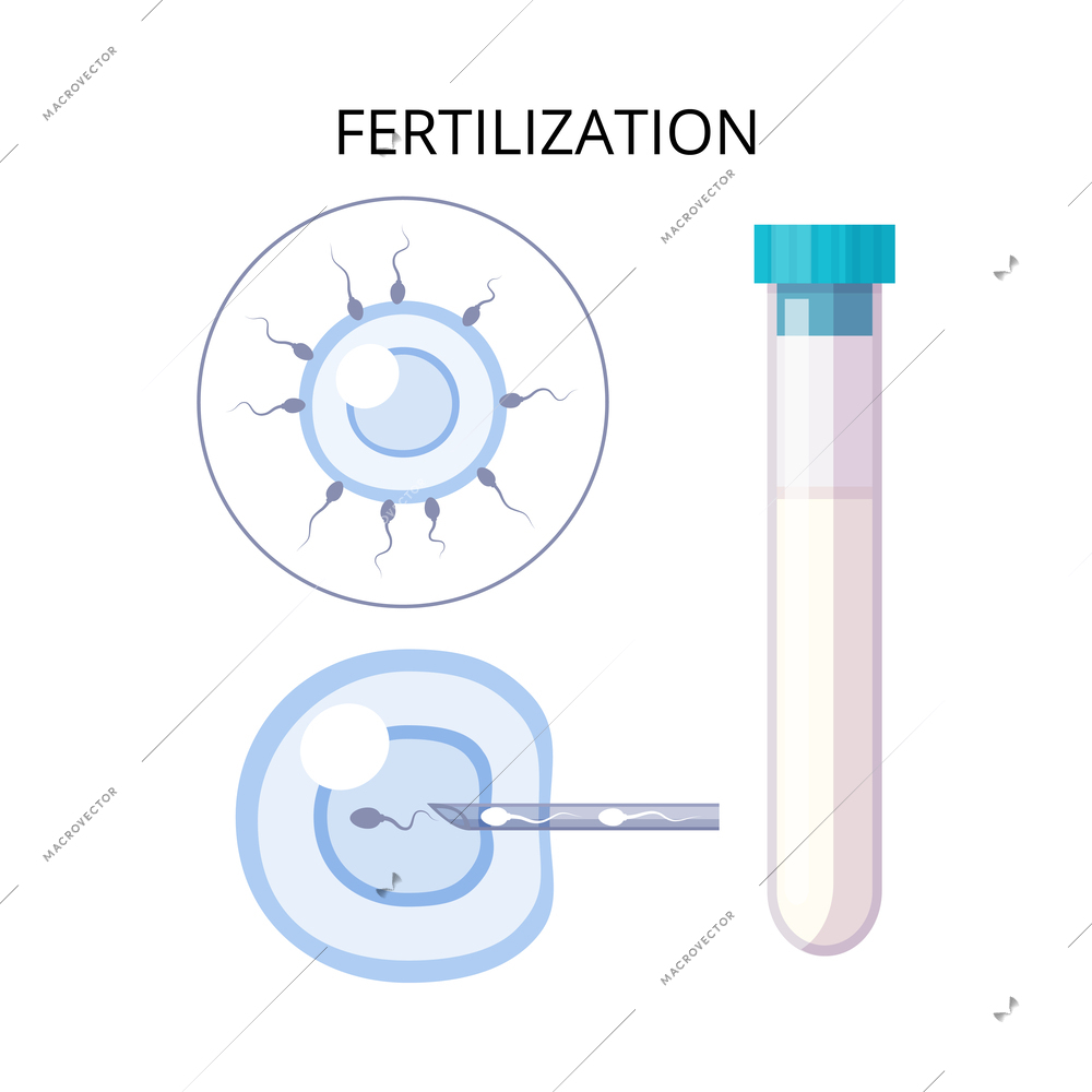 In vitro fertilization ivf flat composition with text captions and artificial insemination icons vector illustration