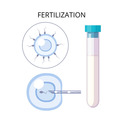 In vitro fertilization ivf flat composition with text captions and artificial insemination icons vector illustration