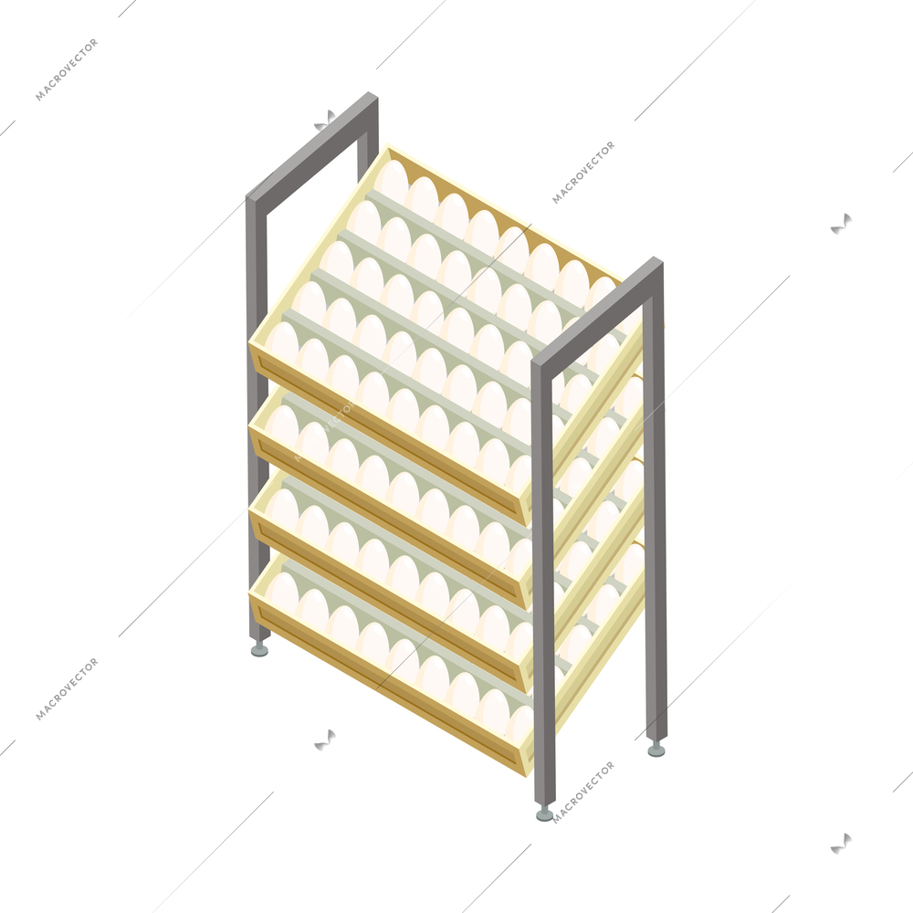 Chicken farm poultry production isometric composition with isolated image of farming product vector illustration