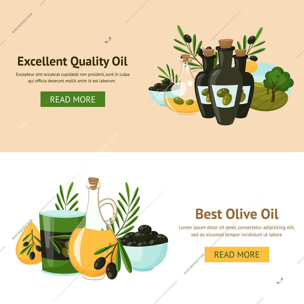Olive oil design concept set with with glass bottles and tree branches isolated vector illustration