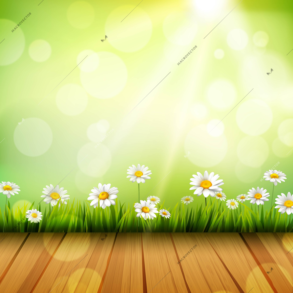 Spring background with wooden floor grass white daisy flowers and sun vector illustration